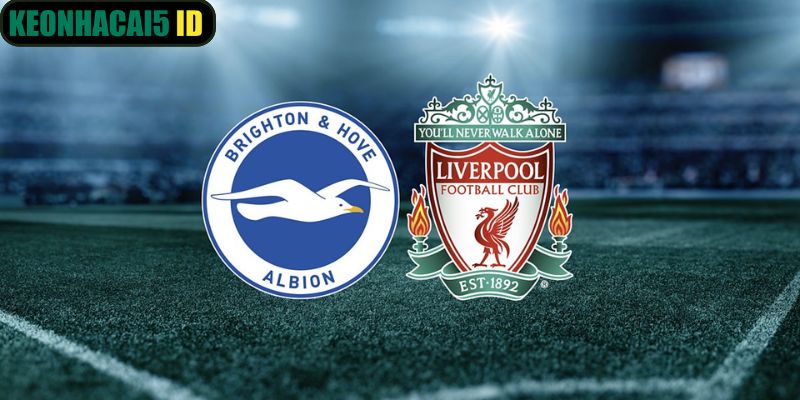 Nhận Định Brighton Hove Albion Vs Liverpool Ngày 21/03 Lúc 19:30 1 Nhận Định Brighton Hove Albion Vs Liverpool Ngày 21/03 Lúc 19:30
