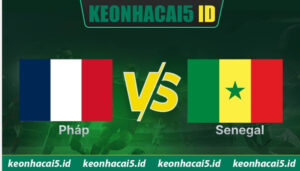 Nhận Định Pháp Vs Senegal 02h00 Ngày 17/06 - World Cup